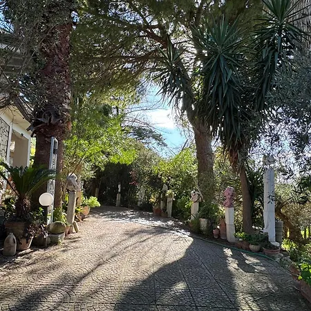 Artist House Apartment